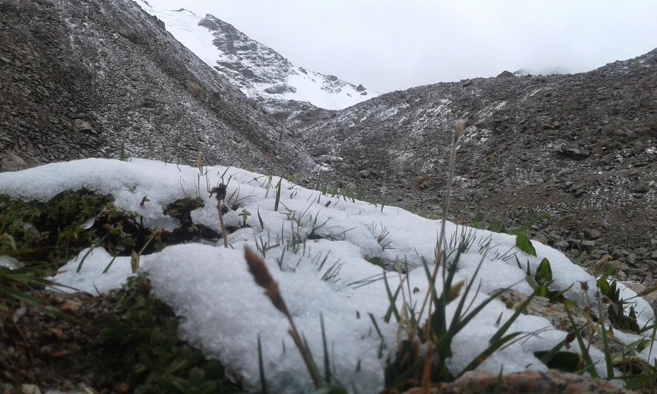 Trekking Center Hotel Bokonbayevo ภายนอก รูปภาพ