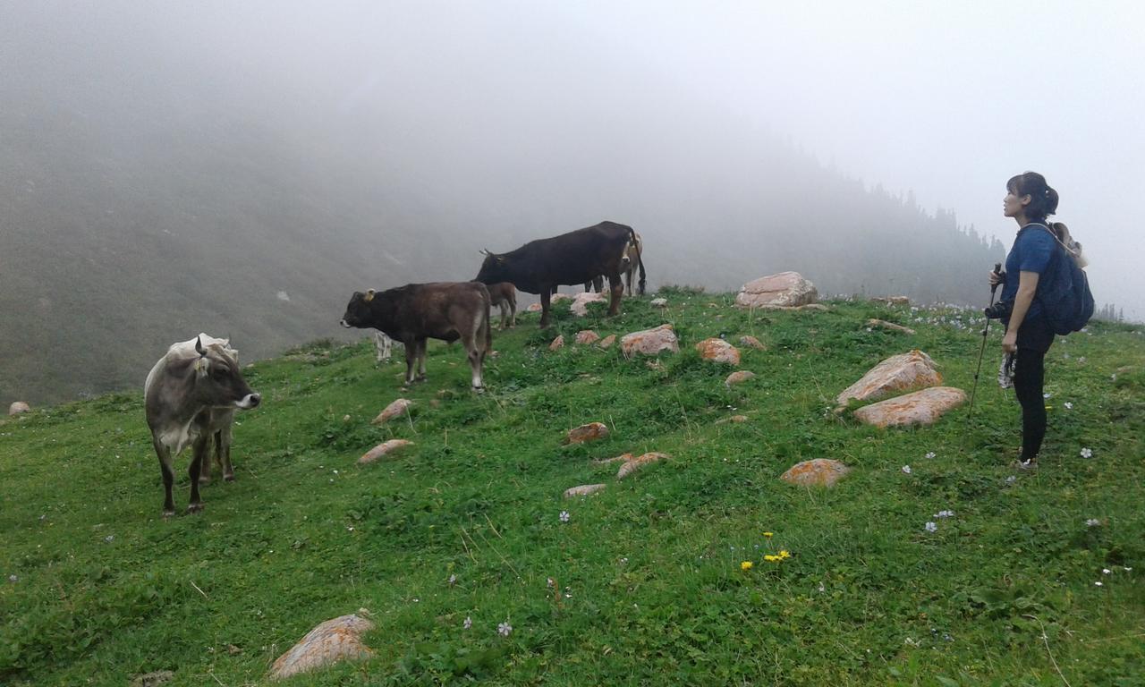 Trekking Center Hotel Bokonbayevo ภายนอก รูปภาพ